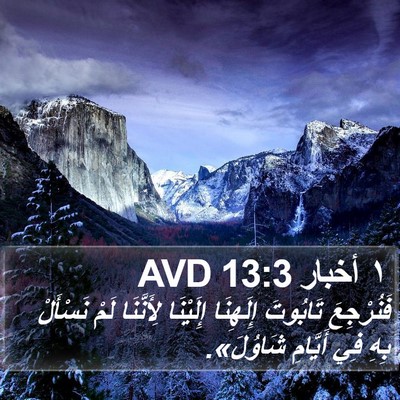 ١ أخبار 13:3 AVD Bible Verse Image