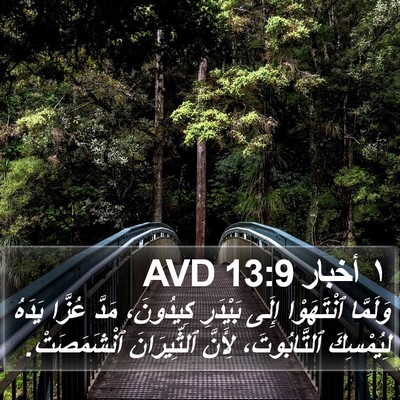 ١ أخبار 13:9 AVD Bible Verse Image