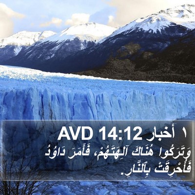 ١ أخبار 14:12 AVD Bible Verse Image