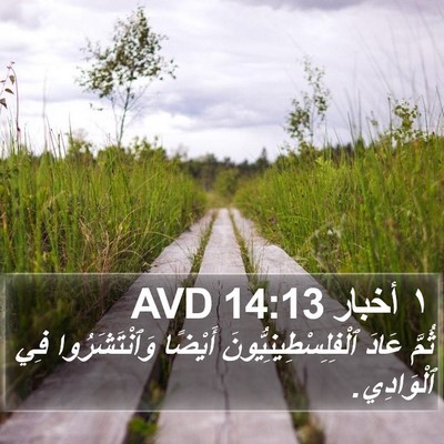 ١ أخبار 14:13 AVD Bible Verse Image