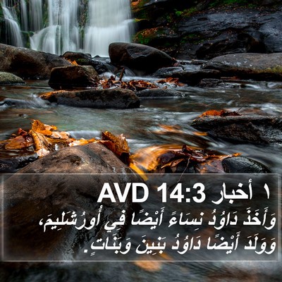 ١ أخبار 14:3 AVD Bible Verse Image