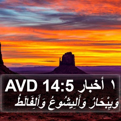 ١ أخبار 14:5 AVD Bible Verse Image