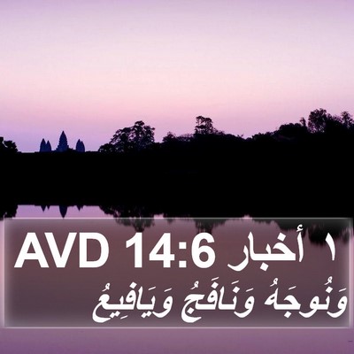 ١ أخبار 14:6 AVD Bible Verse Image