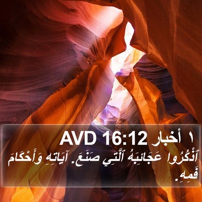 ١ أخبار 16:12 AVD Bible Verse Image