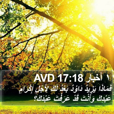 ١ أخبار 17:18 AVD Bible Verse Image