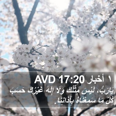 ١ أخبار 17:20 AVD Bible Verse Image