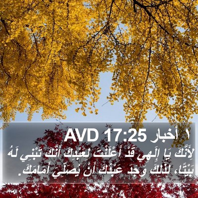 ١ أخبار 17:25 AVD Bible Verse Image