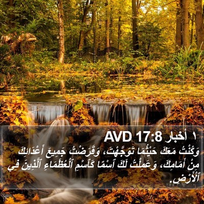 ١ أخبار 17:8 AVD Bible Verse Image