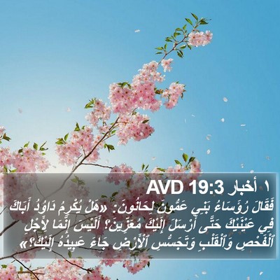 ١ أخبار 19:3 AVD Bible Verse Image