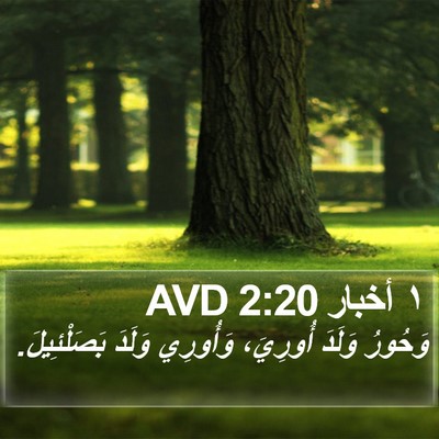 ١ أخبار 2:20 AVD Bible Verse Image