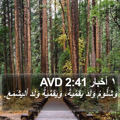 ١ أخبار 2:41 AVD Bible Verse Image