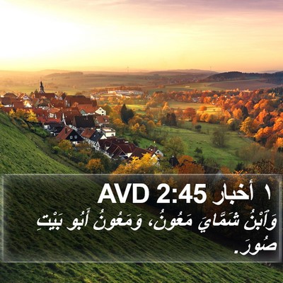 ١ أخبار 2:45 AVD Bible Verse Image
