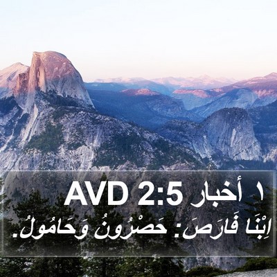 ١ أخبار 2:5 AVD Bible Verse Image
