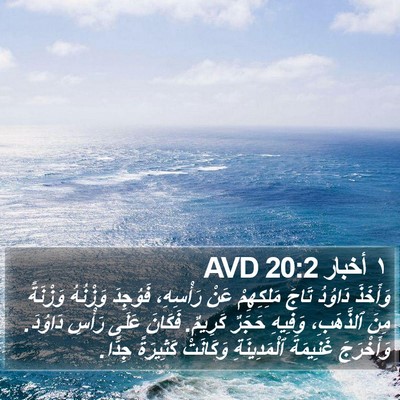 ١ أخبار 20:2 AVD Bible Verse Image