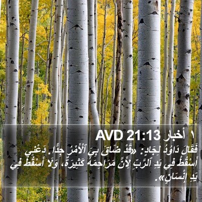 ١ أخبار 21:13 AVD Bible Verse Image
