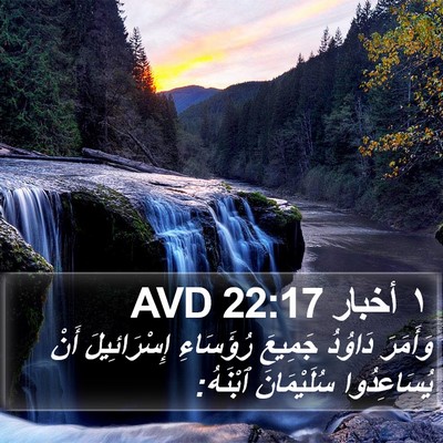 ١ أخبار 22:17 AVD Bible Verse Image