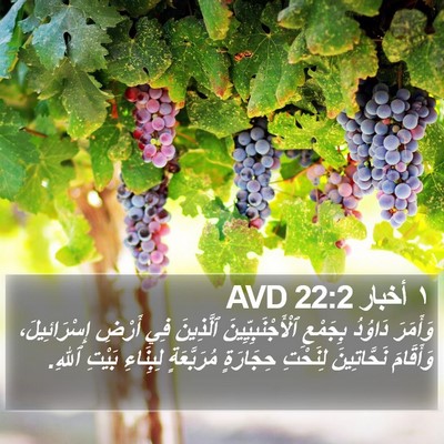 ١ أخبار 22:2 AVD Bible Verse Image