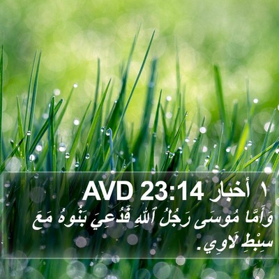 ١ أخبار 23:14 AVD Bible Verse Image