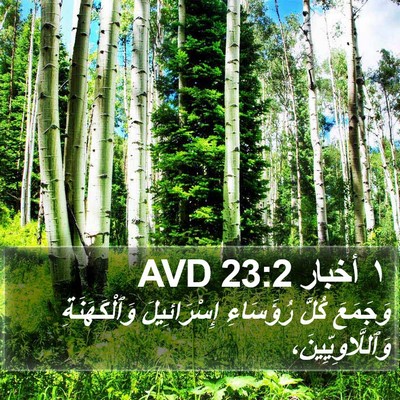 ١ أخبار 23:2 AVD Bible Verse Image