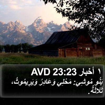 ١ أخبار 23:23 AVD Bible Verse Image
