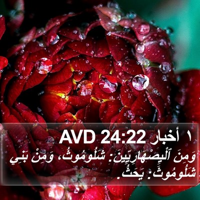 ١ أخبار 24:22 AVD Bible Verse Image