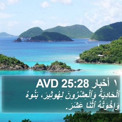١ أخبار 25:28 AVD Bible Verse Image