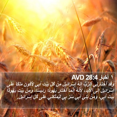 ١ أخبار 28:4 AVD Bible Verse Image