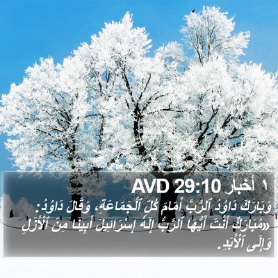١ أخبار 29:10 AVD Bible Verse Image