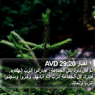 ١ أخبار 29:20 AVD Bible Verse Image