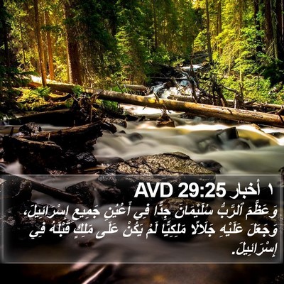 ١ أخبار 29:25 AVD Bible Verse Image