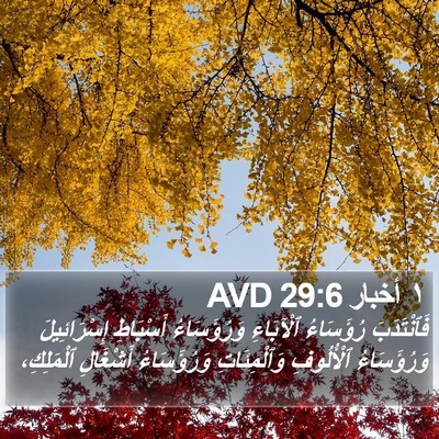 ١ أخبار 29:6 AVD Bible Verse Image