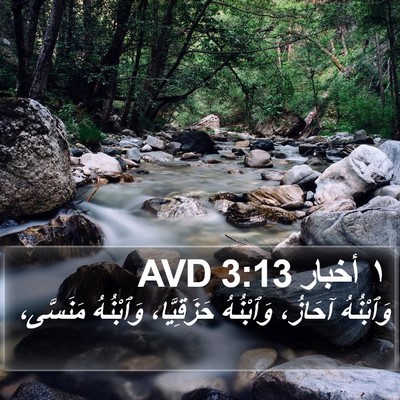 ١ أخبار 3:13 AVD Bible Verse Image