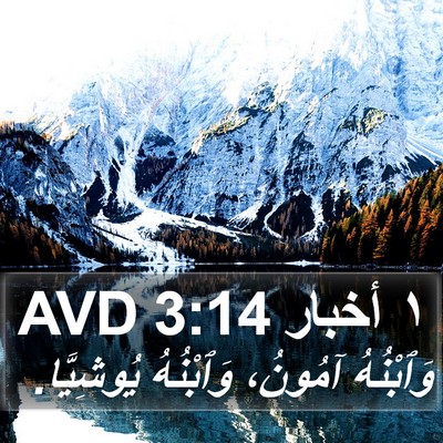 ١ أخبار 3:14 AVD Bible Verse Image