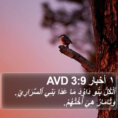 ١ أخبار 3:9 AVD Bible Verse Image