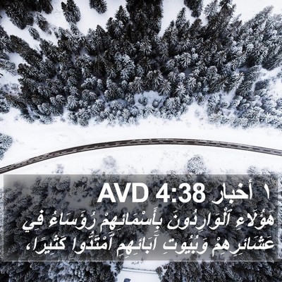١ أخبار 4:38 AVD Bible Verse Image