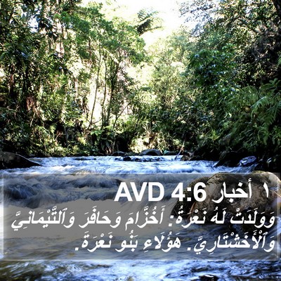 ١ أخبار 4:6 AVD Bible Verse Image