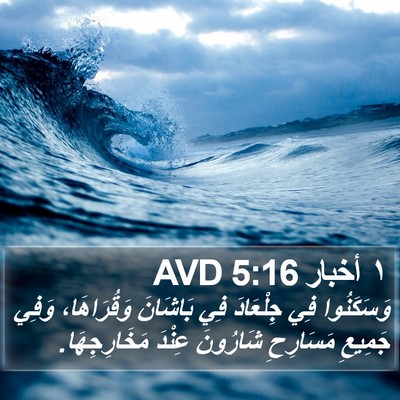 ١ أخبار 5:16 AVD Bible Verse Image