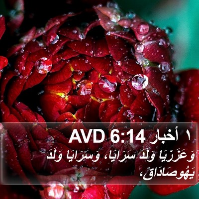 ١ أخبار 6:14 AVD Bible Verse Image