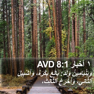 ١ أخبار 8:1 AVD Bible Verse Image