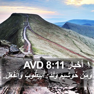 ١ أخبار 8:11 AVD Bible Verse Image
