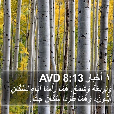 ١ أخبار 8:13 AVD Bible Verse Image