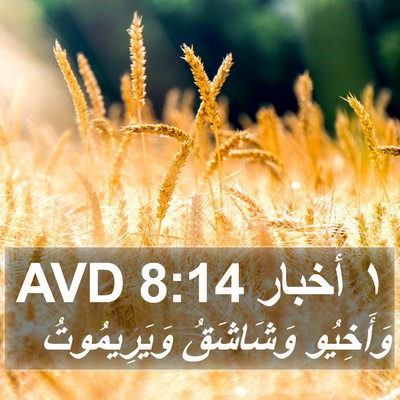 ١ أخبار 8:14 AVD Bible Verse Image
