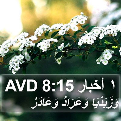 ١ أخبار 8:15 AVD Bible Verse Image