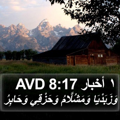 ١ أخبار 8:17 AVD Bible Verse Image