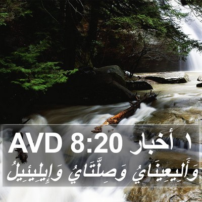 ١ أخبار 8:20 AVD Bible Verse Image