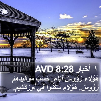 ١ أخبار 8:28 AVD Bible Verse Image