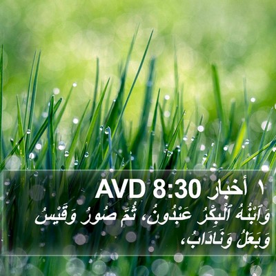 ١ أخبار 8:30 AVD Bible Verse Image