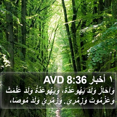 ١ أخبار 8:36 AVD Bible Verse Image