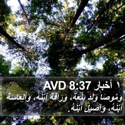 ١ أخبار 8:37 AVD Bible Verse Image