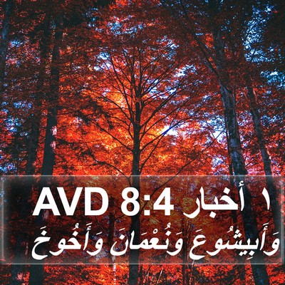 ١ أخبار 8:4 AVD Bible Verse Image